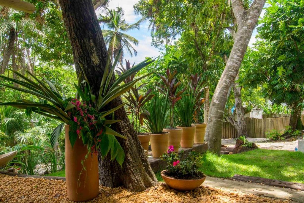 Vila Pati Caraiva Bagian luar foto